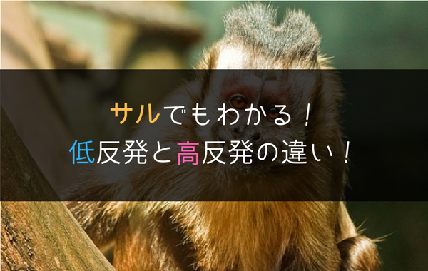 低反発と高反発マットレスの違い